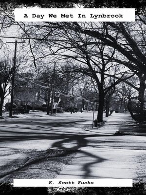 cover image of A Day We Met In Lynbrook